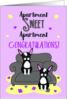 Congratulations on Your New Apartment with Boston Terrier Dogs card