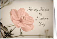 Happy Mother’s Day for Friend - Pink Flower card