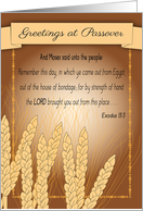 Passover Greetings Exodus Moses Quote card